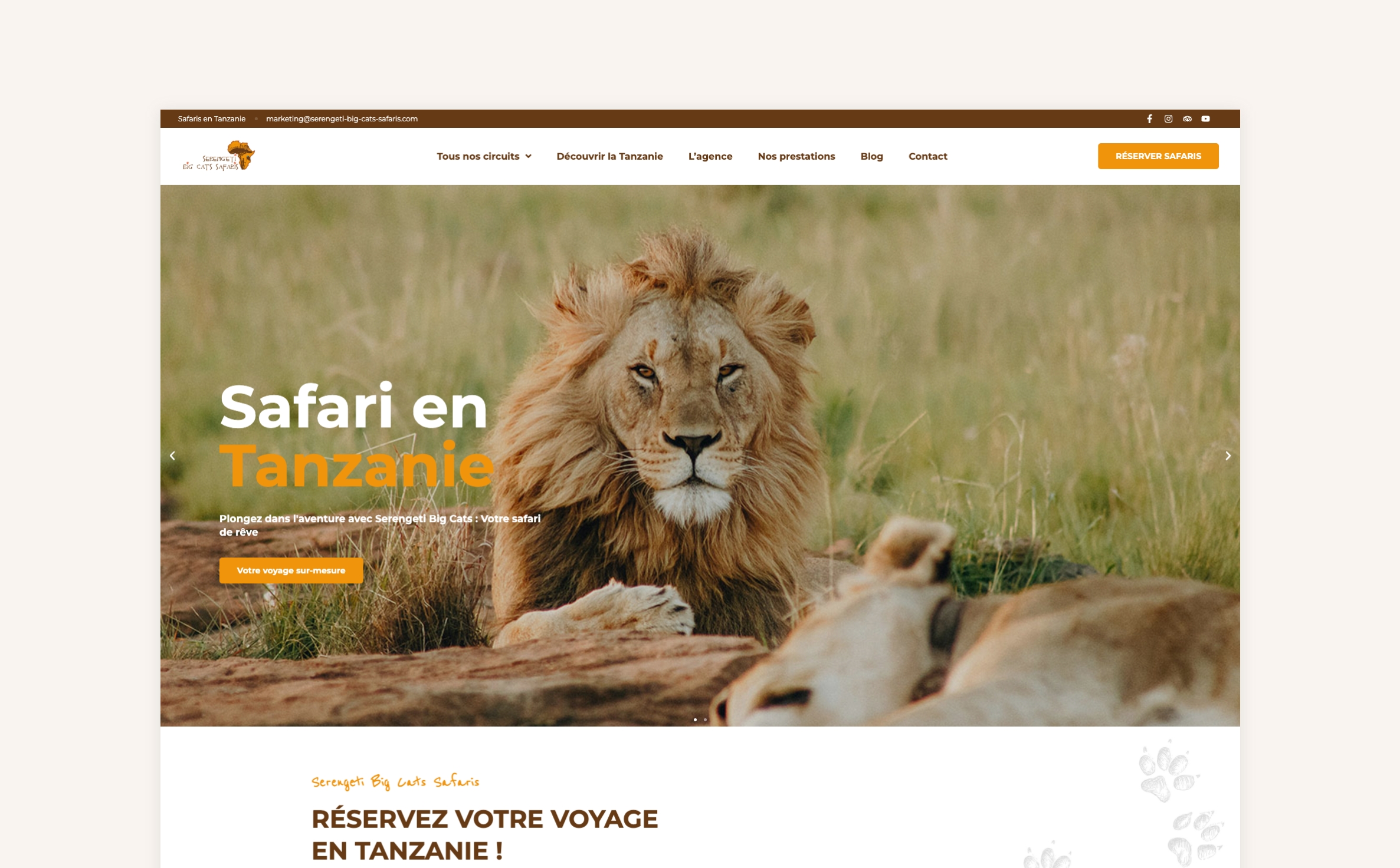 Réalisation Serengeti Big Cats